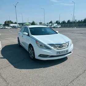 Hyundai Sonata 2010