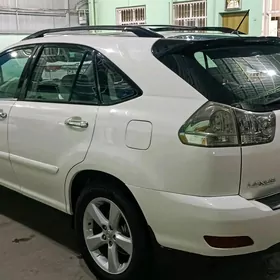 Lexus RX 330 2004