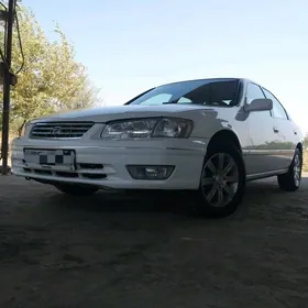 Toyota Camry 1999