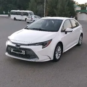 Toyota Corolla 2020