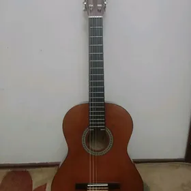 gitara гитара