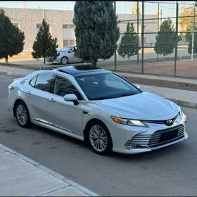 Toyota Camry 2019