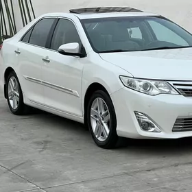 Toyota Camry 2013