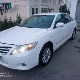 Toyota Camry 2010