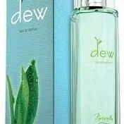 Dew