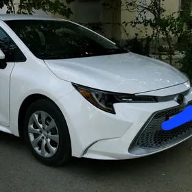 Toyota Corolla 2020