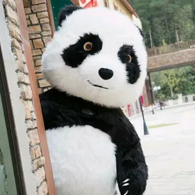 Panda satlyk (paket)