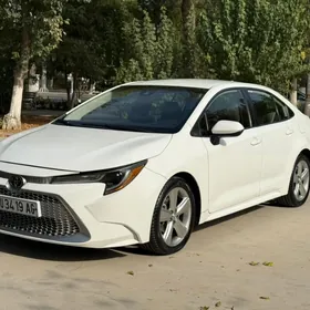 Toyota Corolla 2019