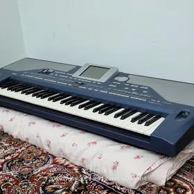 Korg  pa 800 orginal