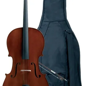 Violoncel