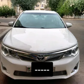 Toyota Camry 2014