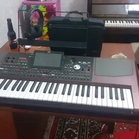 Korg PA1000