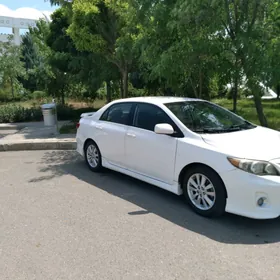 Toyota Corolla 2010