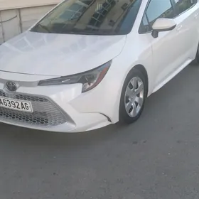 Toyota Corolla 2020