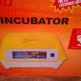 inkubator