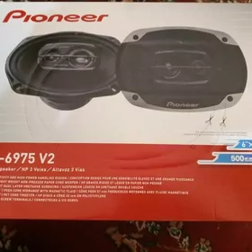 Pioneer kalonka