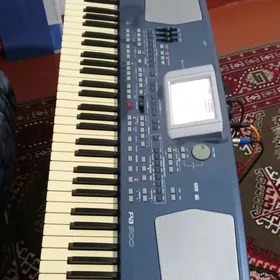 Korg pa 500