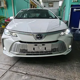 Toyota Corolla 2024