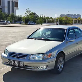 camry козерог