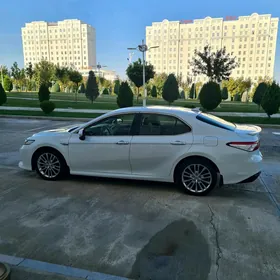 Toyota Camry 2019