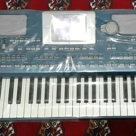 korg pa 800