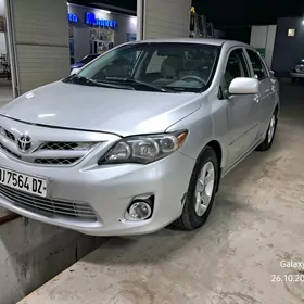 Toyota Corolla 2010