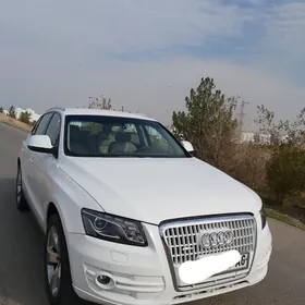 Audi Q5 2009