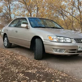 Toyota Camry 1999