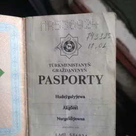 pasport