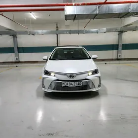 Toyota Corolla 2021