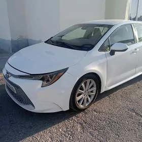 Toyota Corolla 2019