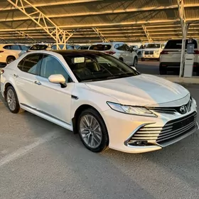 Toyota Camry 2024