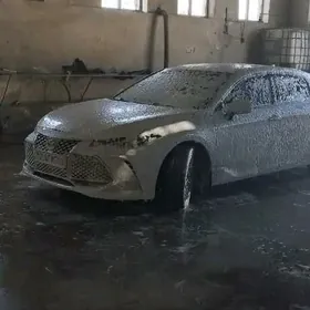 Toyota Avalon 2019