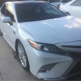 Toyota Camry 2020