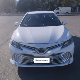 Toyota Camry 2019