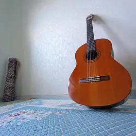 gitara yamaha c40