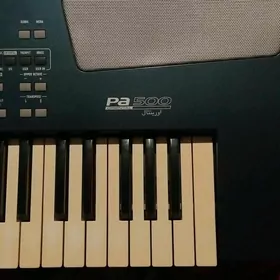 Korg pa500