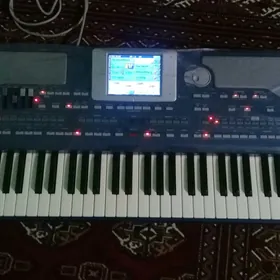 Korg pa800