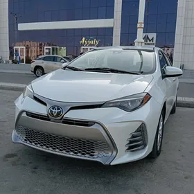 Toyota Corolla 2019