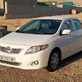 Toyota Corolla 2010