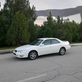 Toyota Camry 2001