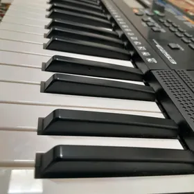 Yamaha (psr E253)