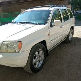 Jeep Grand Cherokee 2004