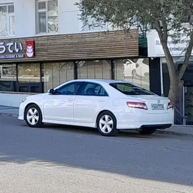 Toyota Camry 2010