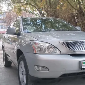 Lexus RX 330 2004