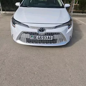 Toyota Corolla 2020