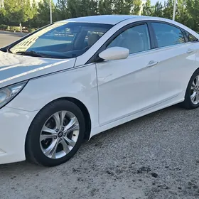 Hyundai Sonata 2011