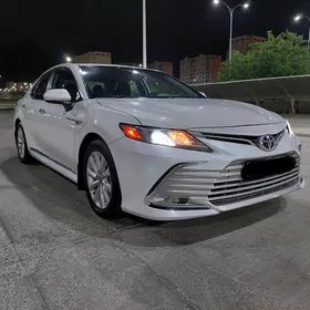 Toyota Camry 2019