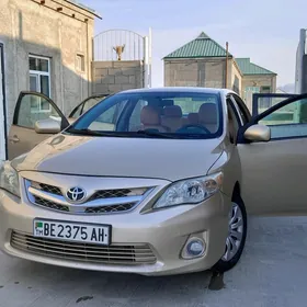 Toyota Corolla 2013