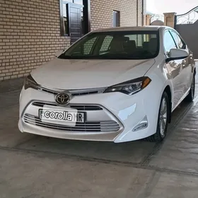 Toyota Corolla 2019